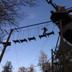 High Ropes & Sports photo